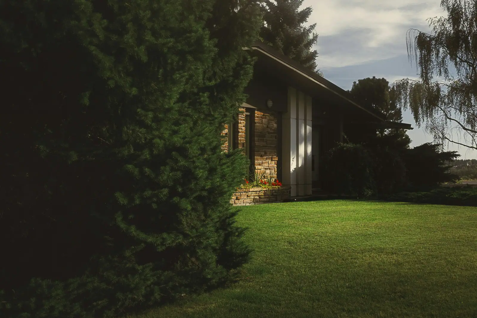 Low, long house with a shallow roof and stone chimney half hidden behind evergreen trees